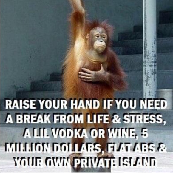 Meet your Posher, Tammy - Picture 3 of 3